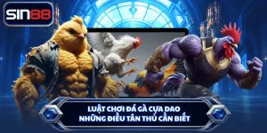 Luật Chơi Đá Gà Cựa Dao - Những Điều Tân Thủ Cần Biết
