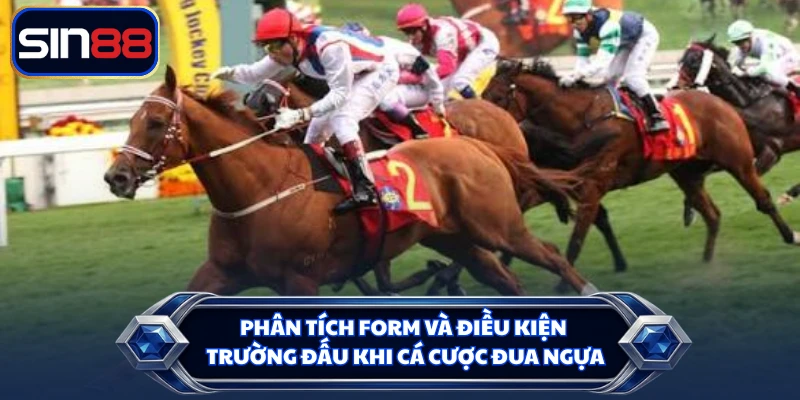 Phân tích form và điều kiện trường đấu khi cá cược đua ngựa