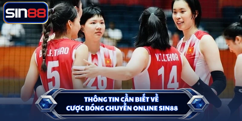 Thông tin cần biết về cược bóng chuyền online SIN88