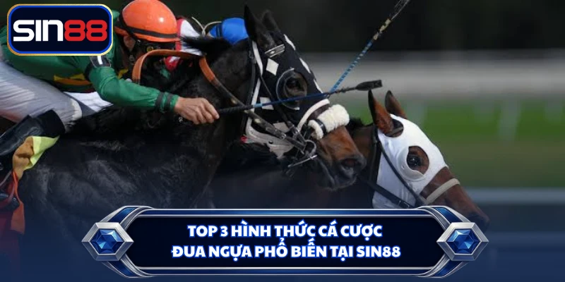Top 3 hình thức cá cược đua ngựa phổ biến tại SIN88